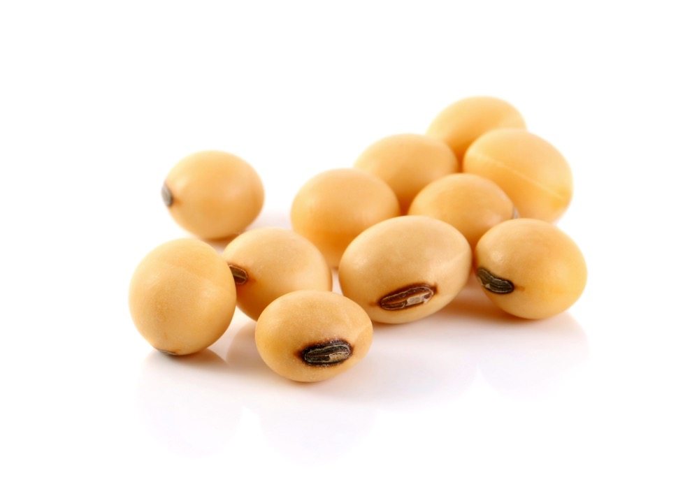 dau-nanh